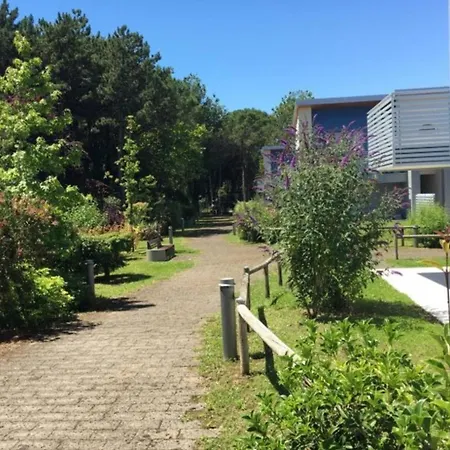 Apartamento New 100 M From The Beach-bibione *